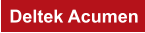 Deltek Acumen